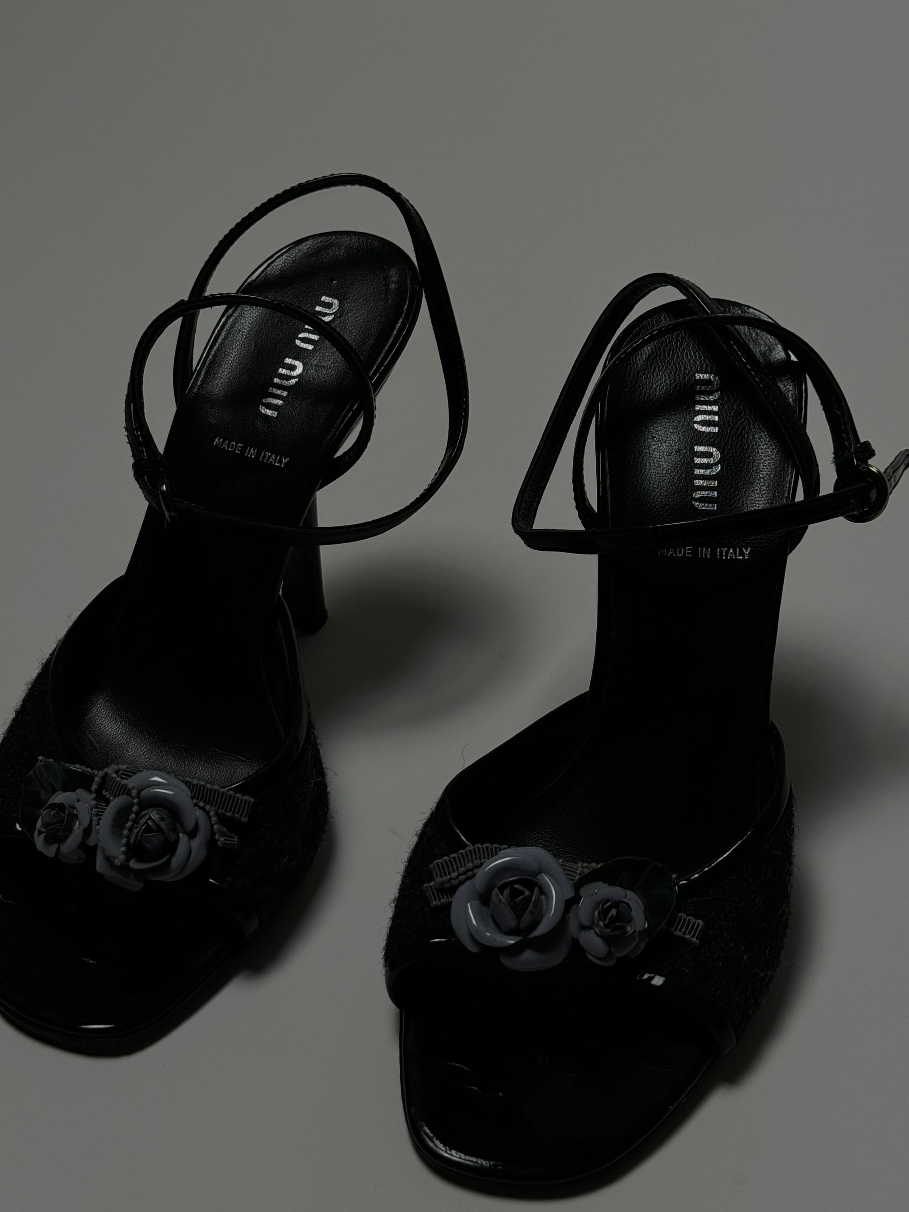 MIU MIU MIU MIU