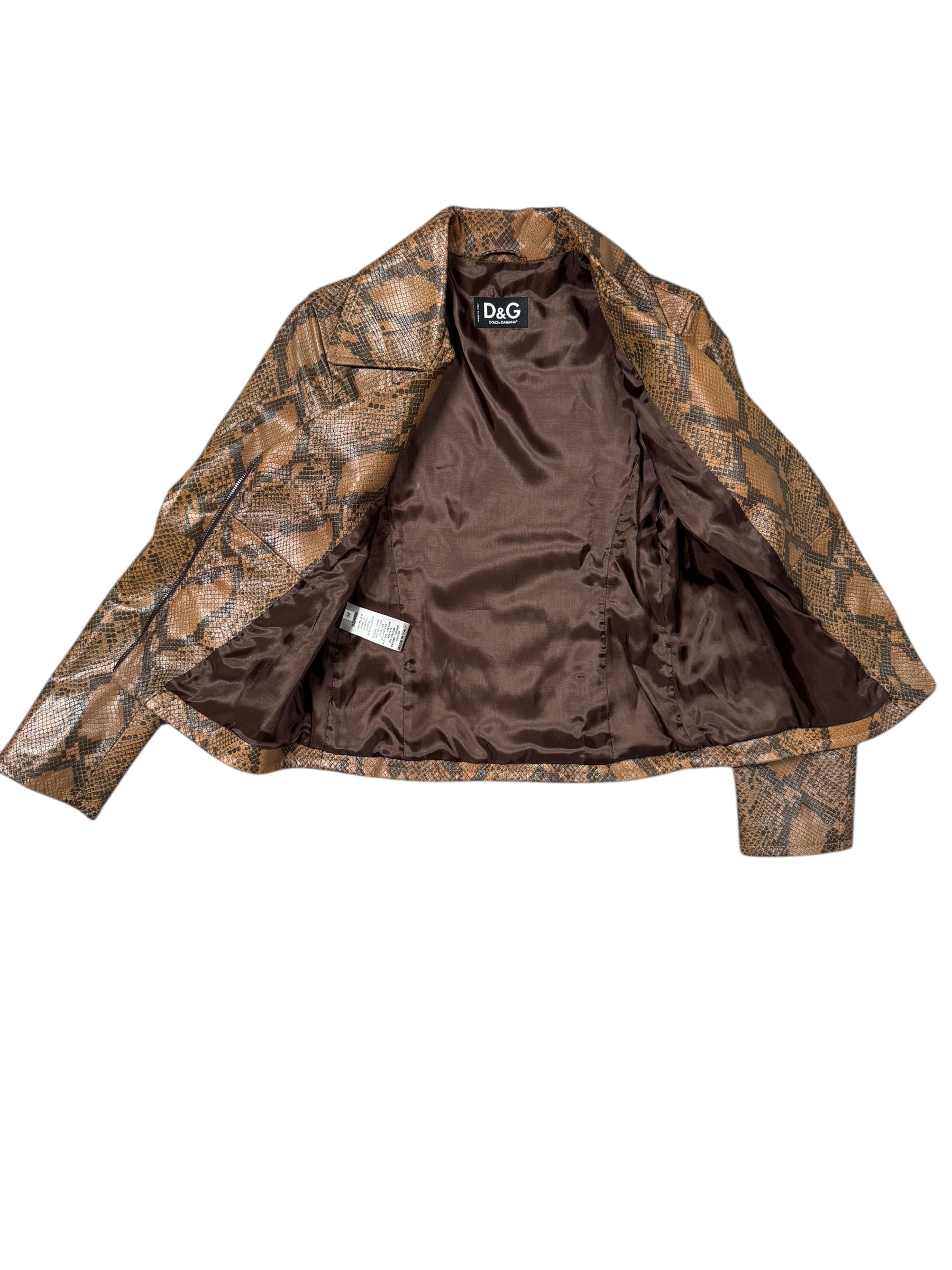 snake print d&g jacket 