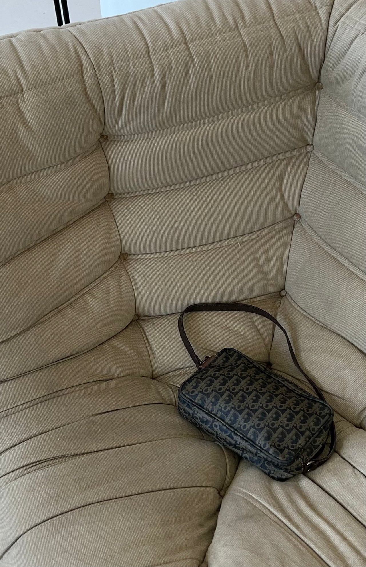 VINTAGE DIOR TROTTER CLUTCH